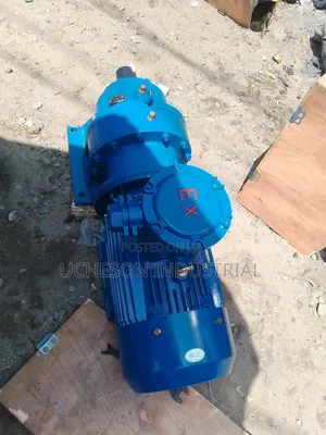 Ex Gear Motor