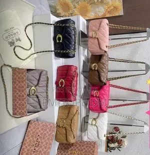 Small Coach Women’s Handbag