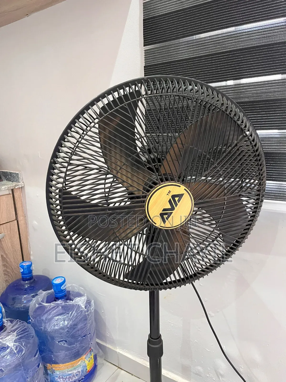 Standing Fan