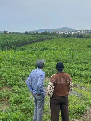 Plots of Lands for Sale by Savana Smart Homes Real Estate LTD