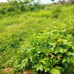 Plot of Land