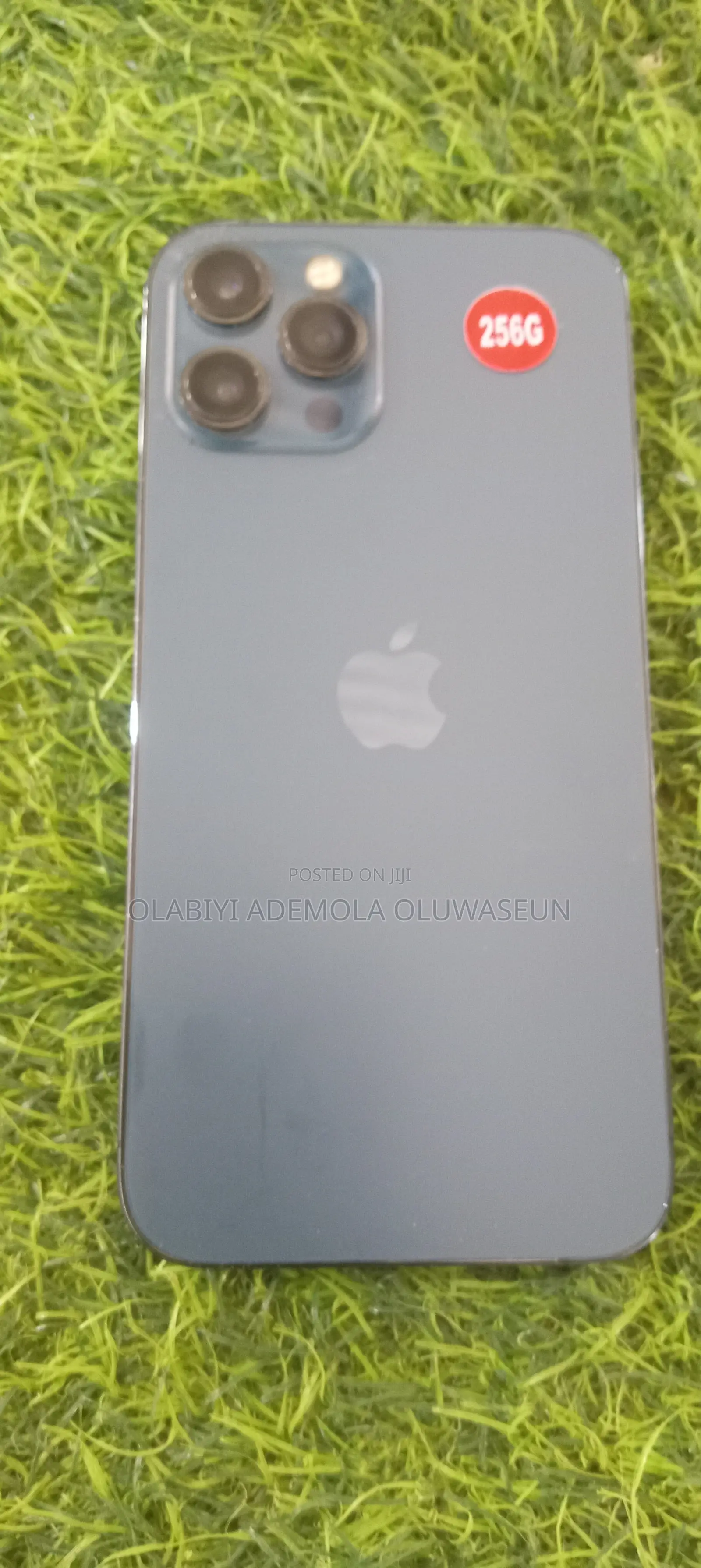 Apple iPhone 12 Pro Max 256 GB Blue