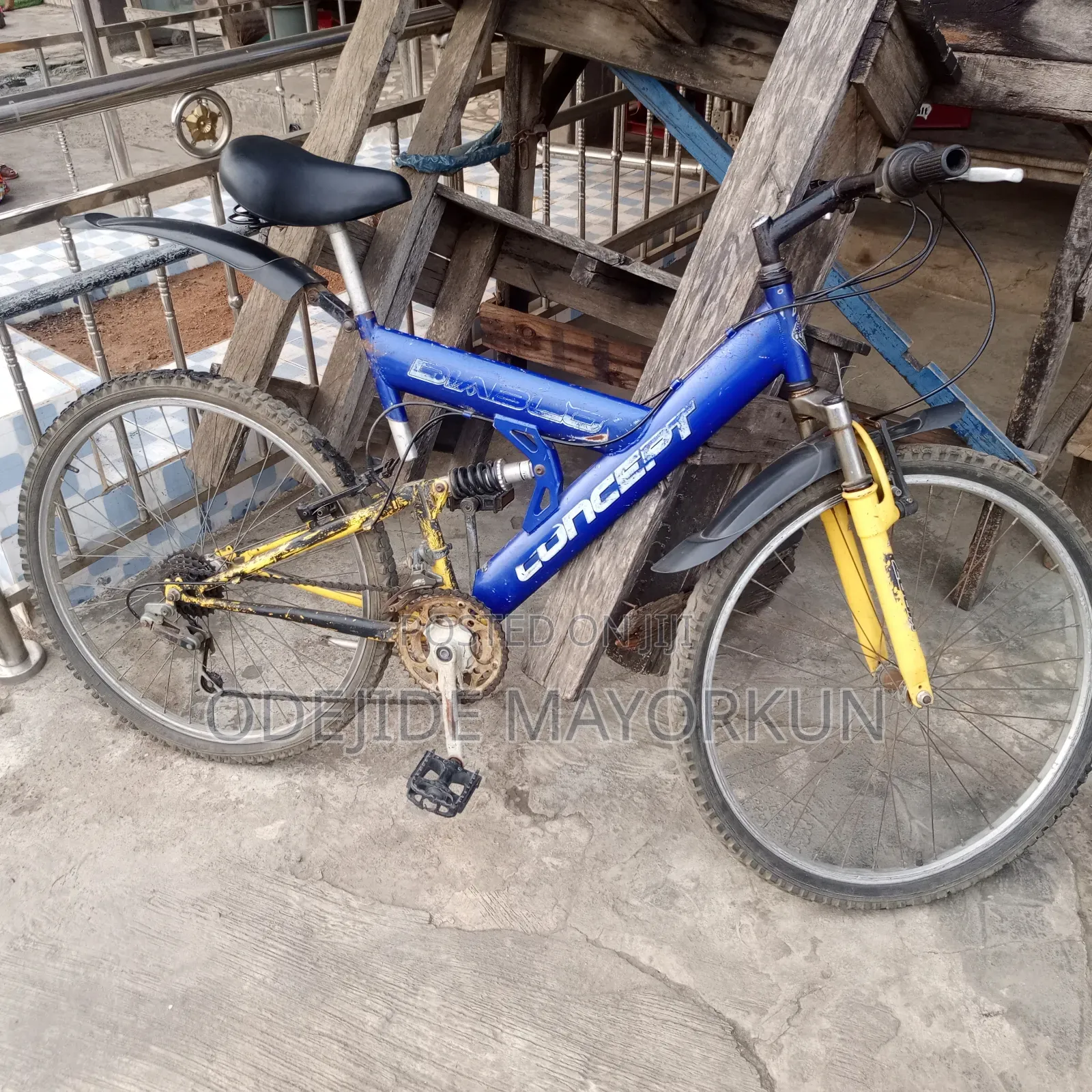 Mountain Bike