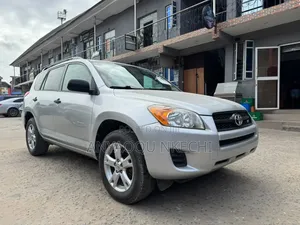 Toyota RAV4 2009 Silver