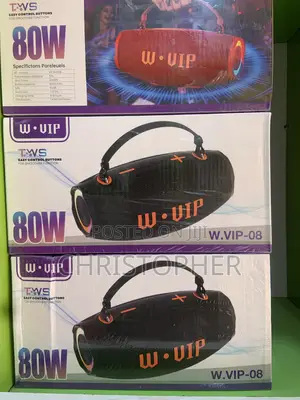 W.vip 80w Portable Heavy Deep Bass High Quality Soundbox Wireless