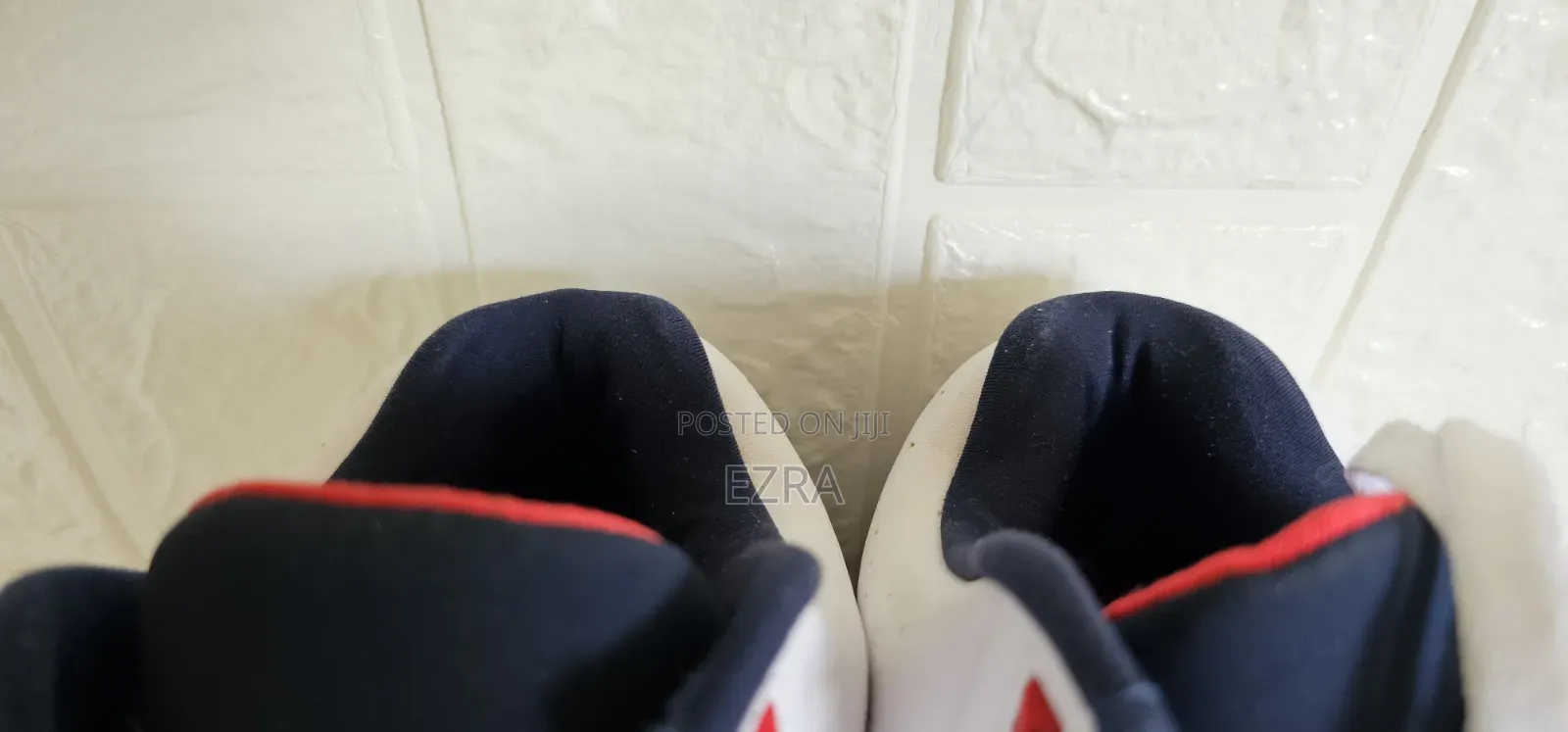 Air Flight Lite Mid USA Olympic Edition.