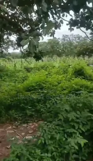 6 Hectares in Karsana South for Sale