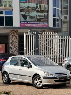 Peugeot 307 2005 Silver
