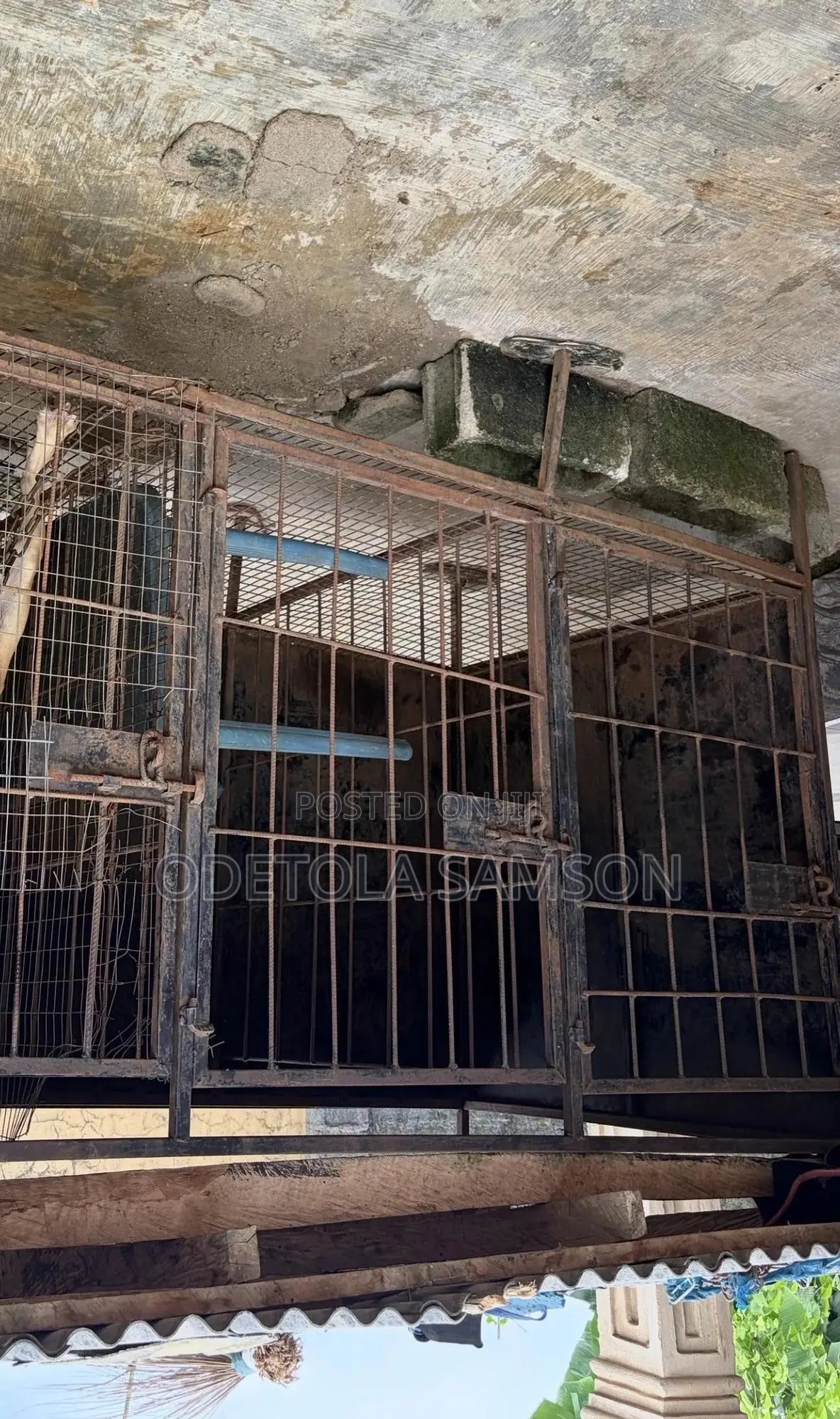 Cage for Big Dog