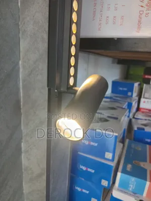 Magnetic Track Light