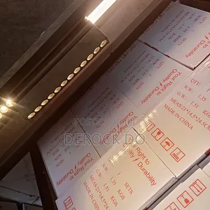 Magnetic Track Light