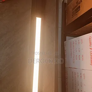 Magnetic Track Light