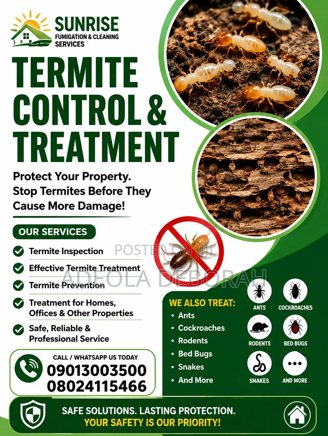 Professional Termite Control and Treatment