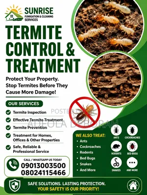 Professional Termite Control and Treatment