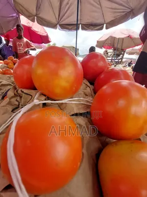 Fresh Tomatoes and Onions