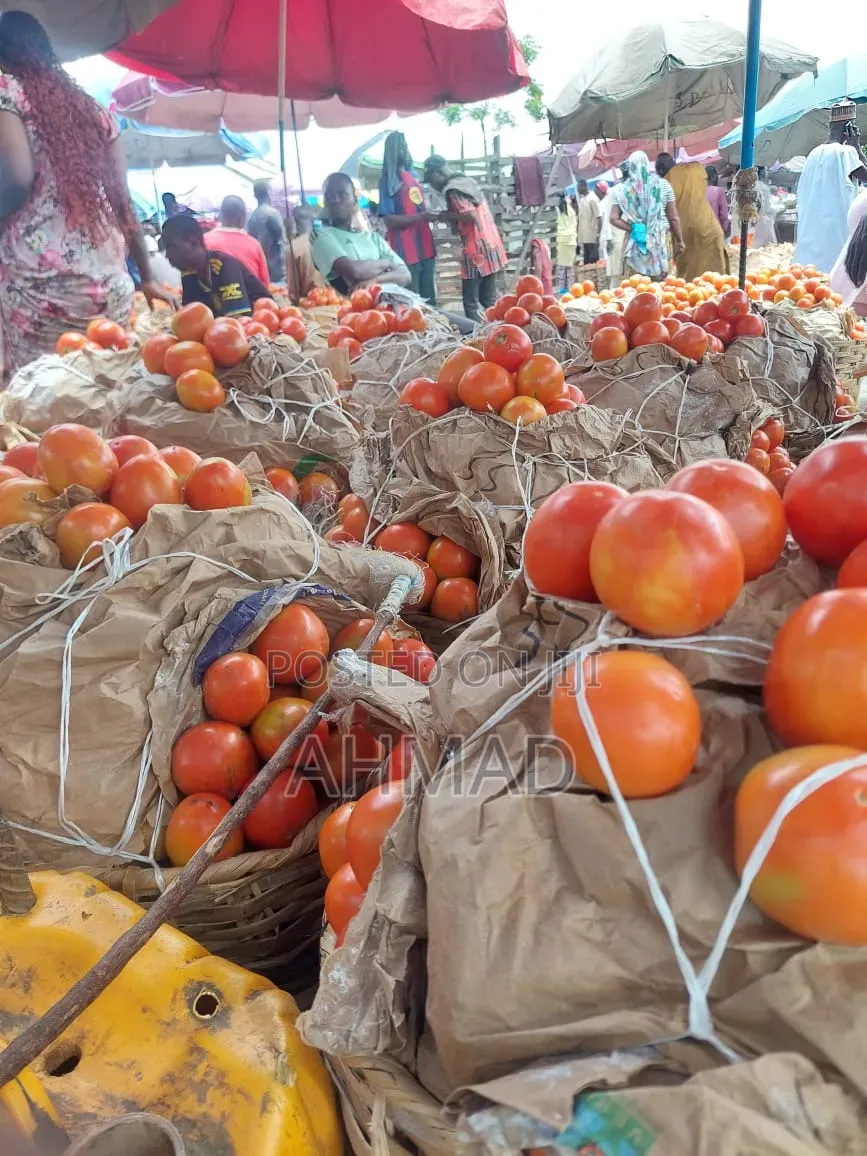 Fresh Tomatoes and Onions