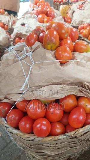 Fresh Tomatoes and Onions