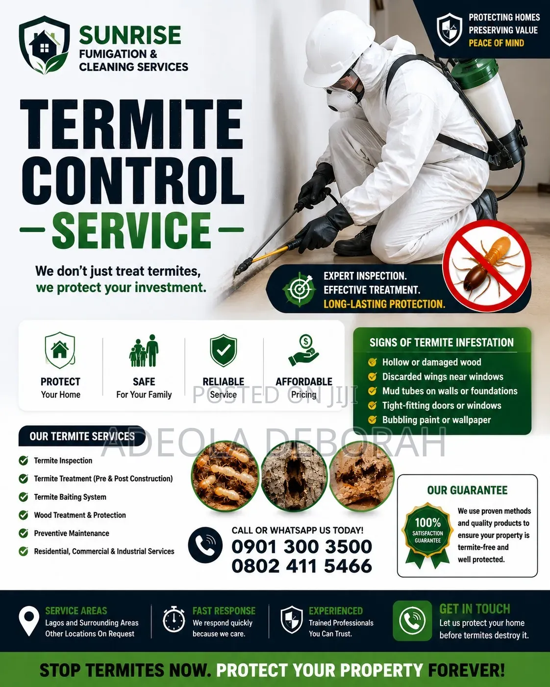 Professional Termite Control and Treatment