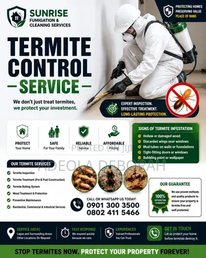 Professional Termite Control and Treatment