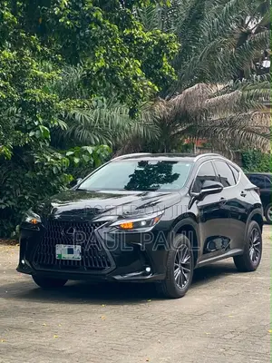 Lexus NX 250 Premium AWD 2025 Black