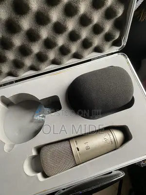 Microphone