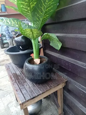 Carbon Fibre and Concrete Flower Verse for Sale