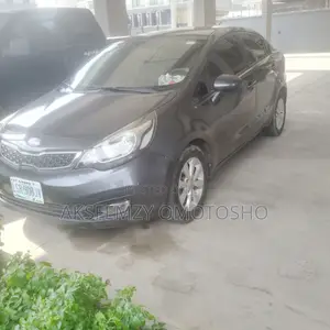 Kia Rio EX 4dr Sedan (1.6L 4cyl 6A) 2014 Gray