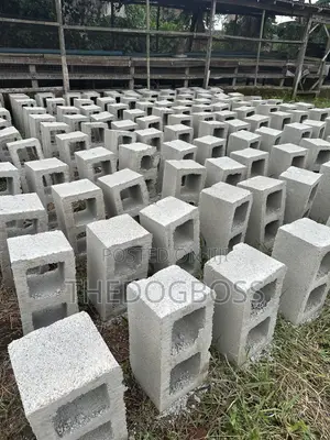 Molding Concrete Blocks
