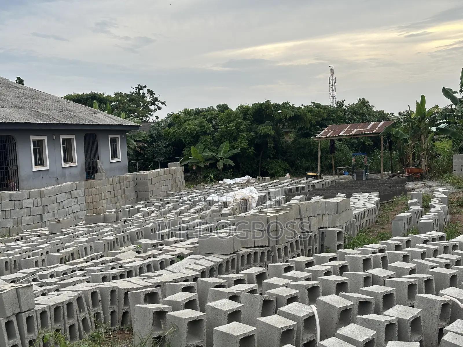Molding Concrete Blocks