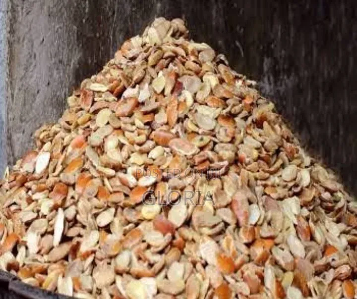 Ogbono Seed (Dikanuts)