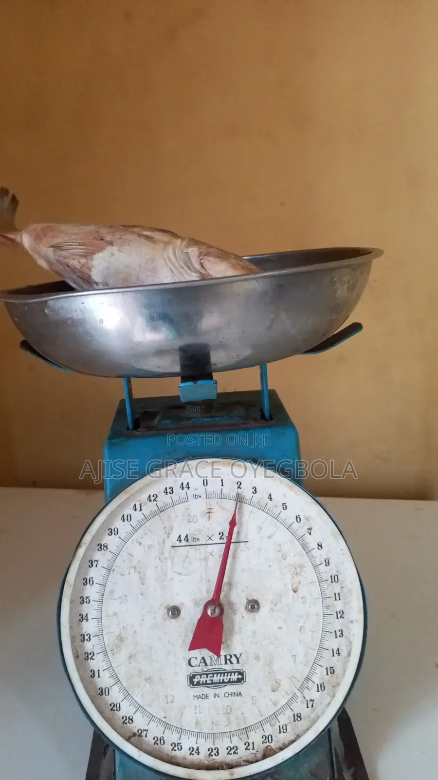 Frozen Chicken Fish