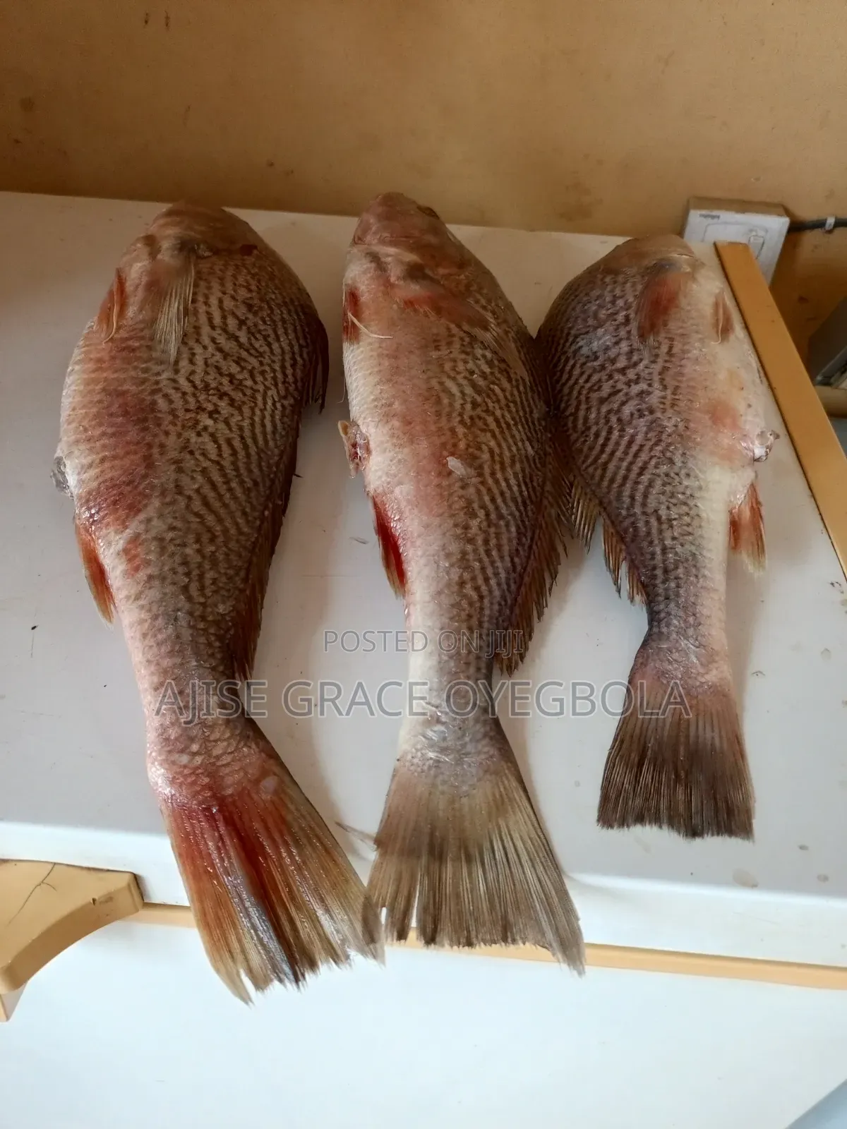 Frozen Chicken Fish
