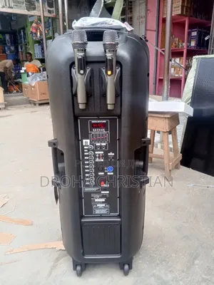 Modern Day Double 15" Mobile Speakers