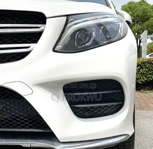 2014-2019 Gle Front Bumper Lower Diffuser Chrome