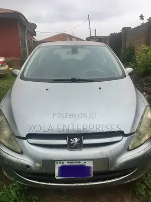 Peugeot 307 2003 Silver