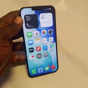 Apple iPhone 13 Pro Max 256 GB