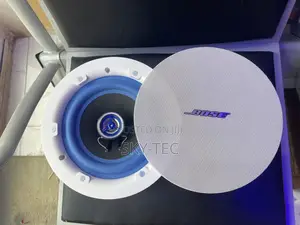 Original Bose Passive Flameless 8inch Big Woofer Magnet Pop Speaker