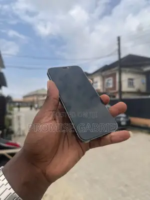 Apple iPhone 12 Pro 256 GB Gray