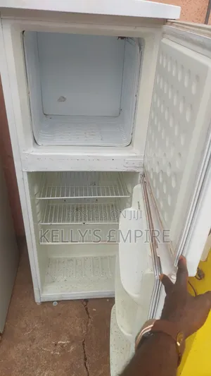 Royal Fridge Working Perfectly