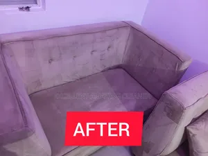 Sofa/Carpet Rug Cleaning