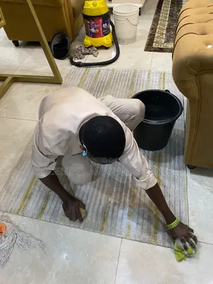 Attention to Sofa Cleaning