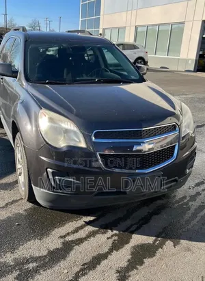 Car Rentals