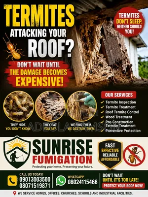 Professional Termites Control Treatment