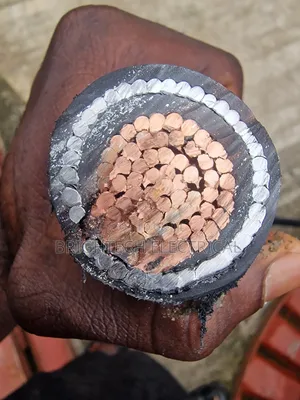 300mmx1core Armoured Bicc