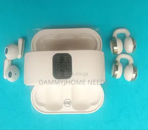 2 in 1 Earbuds (4 Pieces)