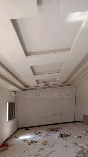 POP Ceiling for Property Developers