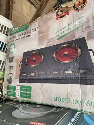 Large Surface Electric Cooker