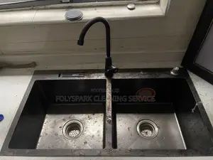 Cleaning and Fumigation Service