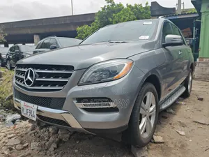 Mercedes-Benz M Class 2014 Gray