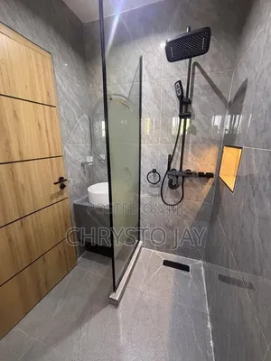 Furnished Mini Flat in Asokoro for rent